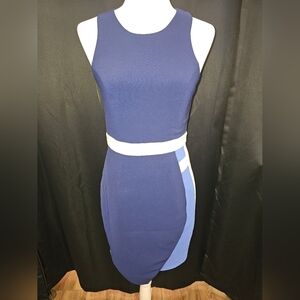 Dress, blue, elegant, casual, office, meeting, summer, travel, business, tight